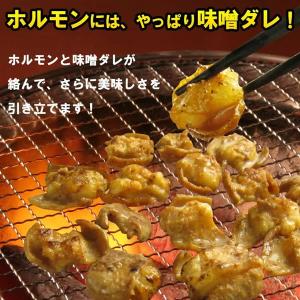 肉 牛肉 焼肉 焼き肉 ホルモン 焼肉 牛ホル...の詳細画像3