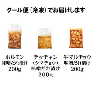 肉 焼き肉 情熱ホルモン お試し 盛り合わせセ...の詳細画像1