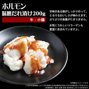 肉 焼き肉 情熱ホルモン お試し 盛り合わせセ...の詳細画像3