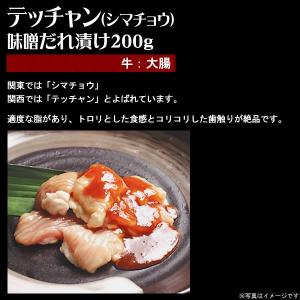 肉 焼き肉 情熱ホルモン お試し 盛り合わせセ...の詳細画像4