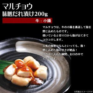 肉 焼き肉 情熱ホルモン お試し 盛り合わせセ...の詳細画像5
