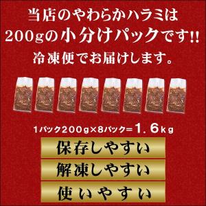 ハラミ 焼肉 肉 牛肉 焼き肉 焼肉セット バ...の詳細画像1