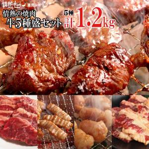 焼き肉 計1.2kg 情熱の 焼肉 牛5種盛(ハラミ テッチャン