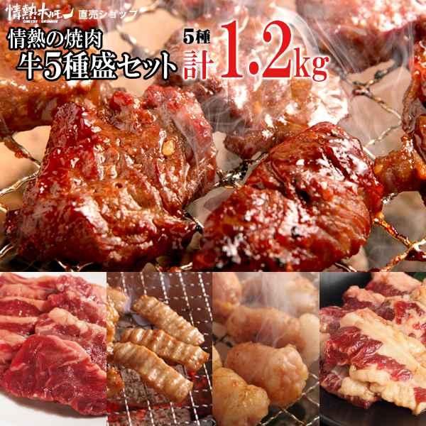 焼き肉 計1.2kg 情熱の 焼肉 牛5種盛(ハラミ テッチャン カルビ マルチョウ) バーベキュー...