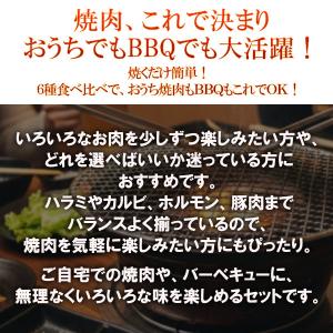 焼き肉 計1.2kg お手軽 焼肉 6種盛セッ...の詳細画像1