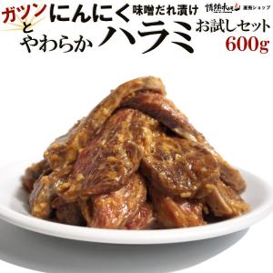 ガツンと にんにく やわらか ハラミ 味噌だれ漬け 600g お試しセット 焼肉 BBQ バーベキュー 情熱ホルモン｜情熱ホルモン直売ショップ Yahoo店