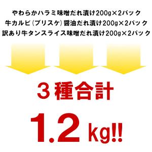 半額 LYPプレミアム会員様限定 焼き肉 計1...の詳細画像5
