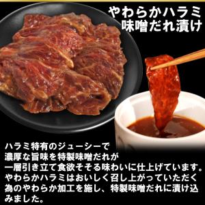 半額 LYPプレミアム会員様限定 焼き肉 計1...の詳細画像2
