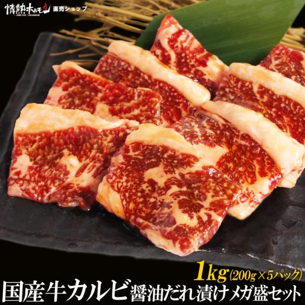 国産 牛 カルビ 醤油だれ漬け メガ盛セット 1kg バーベキューセット BBQセット 焼肉 肉 小...