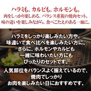 半額 LYPプレミアム会員様限定 焼き肉 計1...の詳細画像1