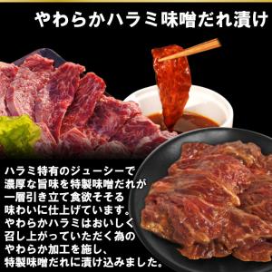 半額 LYPプレミアム会員様限定 焼き肉 計1...の詳細画像2
