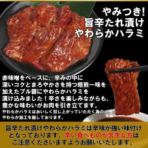 半額 LYPプレミアム会員様限定 焼き肉 計1...の詳細画像3