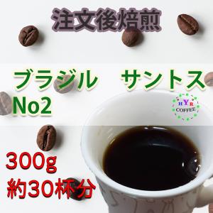 送料無料 自家焙煎 ブラジル サントスNo2 300g 豆のまま発送 100g×3袋 コーヒー豆 コーヒー 焙煎 新鮮 アイスコーヒー  珈琲 アイス 香り高い 珈琲豆 コク 酸味｜yhr-coffee