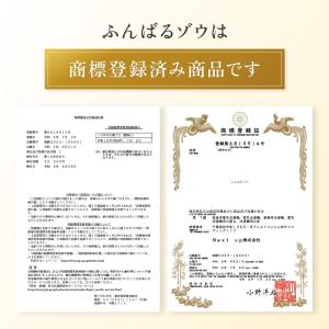 洗濯機 かさ上げ ドラム式 洗濯機台 ふんばる...の詳細画像5