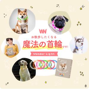光る首輪 犬用 小型犬 中型犬 大型犬 散歩 ...の詳細画像1