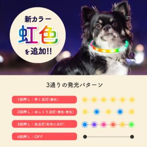 光る首輪 犬用 小型犬 中型犬 大型犬 散歩 ...の詳細画像3