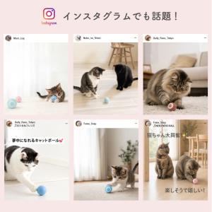猫 ボール 自動猫ボール 猫 おもちゃ ボール...の詳細画像3