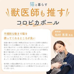 猫 ボール 自動猫ボール 猫 おもちゃ ボール...の詳細画像4