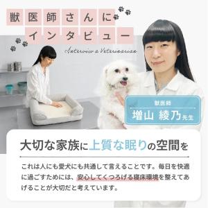 ベッド ペット用 中型犬 高反発 クッション ...の詳細画像2