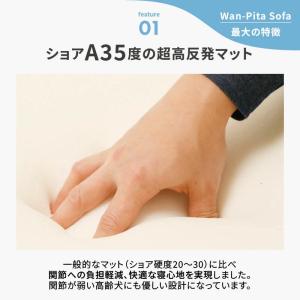 ベッド ペット用 小型犬 中型犬 高反発 クッ...の詳細画像5