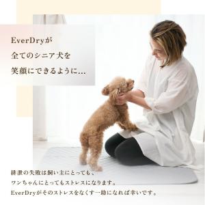ペットシーツ 洗える ペットマッ ト 犬 猫 ...の詳細画像2