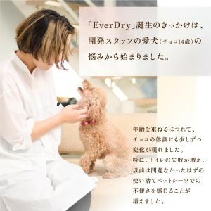 ペットシーツ 洗える ペットマッ ト 犬 猫 ...の詳細画像1
