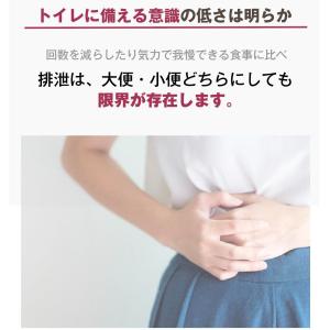 簡易トイレ 非常用トイレ 100回分 日本製 ...の詳細画像2