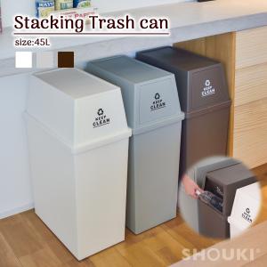 ゴミ箱 2段 45L 3仕切り可能 シンプル スリム 縦型 キャスター付