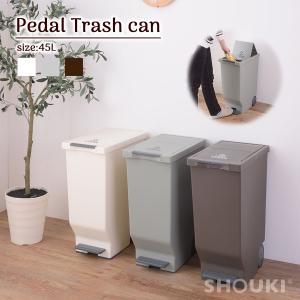 ゴミ箱 2段 45L 3仕切り可能 シンプル スリム 縦型 キャスター付