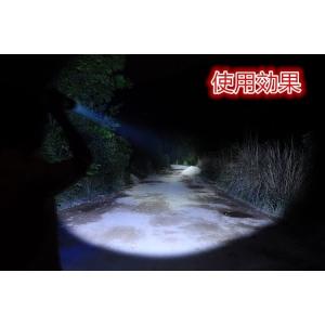 送料無料 お買い得 LEDライト ハンディライ...の詳細画像5