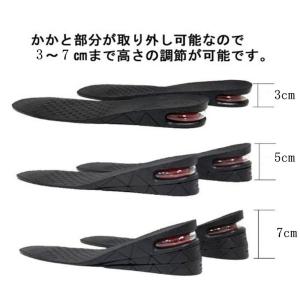 送料無料シークレットエアーインソール 中敷き ...の詳細画像1
