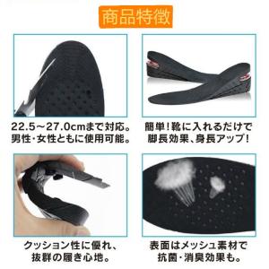 送料無料シークレットエアーインソール 中敷き ...の詳細画像2