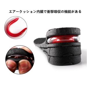送料無料シークレットエアーインソール 中敷き ...の詳細画像3