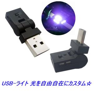 送料無料 USBコネクタ LEDライト 好みの光が作れる 多色 方向 輝度 自由自在 設定メモリー 自動点灯 USB-A USB-C 車内 USB充電器 モバイルバッテリーなど 1点