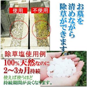 お墓の除草塩10kg大袋×2袋合計20kg 色...の詳細画像3