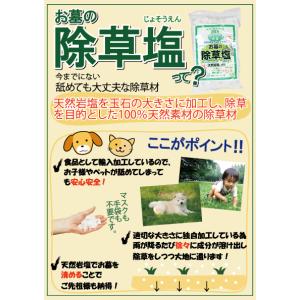 当店初めてご利用限定 お墓の除草塩 1kg×3...の詳細画像2