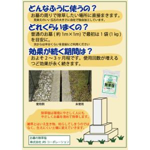 当店初めてご利用限定 お墓の除草塩 1kg×3...の詳細画像3