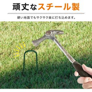 人工芝 ピン おさえピン 1000本 大容量 ...の詳細画像3