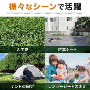 人工芝 ピン おさえピン 1000本 大容量 ...の詳細画像5