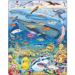 Larsen FH20"Whale Reef" Puzzle