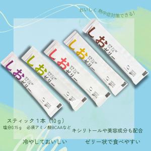熱中症対策ゼネコンが作ったしおゼリー【100個セット】 ミックス 10g