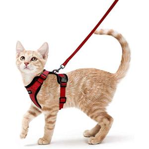 Rabbitgoo 猫 ハーネス リード セット 抜けない ソフト胸あて 軽量 超小型犬 小型犬 猫 散歩 用 ハーネス 胴輪 足を上げず装着完