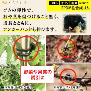 誘引クリップ 支柱結束 誘引 ひも 楽らくアン...の詳細画像3