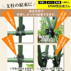誘引クリップ 支柱結束 誘引 ひも 楽らくアン...の詳細画像4