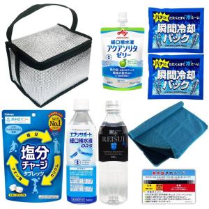 熱中症対策キット9点 10セット ケース販売 まとめ買い 粗品 記念品 販促 ばらまき 景品 レジャー 現場作業 職場における熱中症対策に