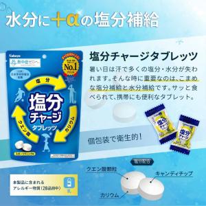 熱中症対策キット9点 10セット ケース販売 ...の詳細画像5