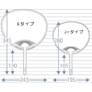 ポリ平Gタイプうちわ(団扇) 鮎 販促 PR広...の詳細画像1