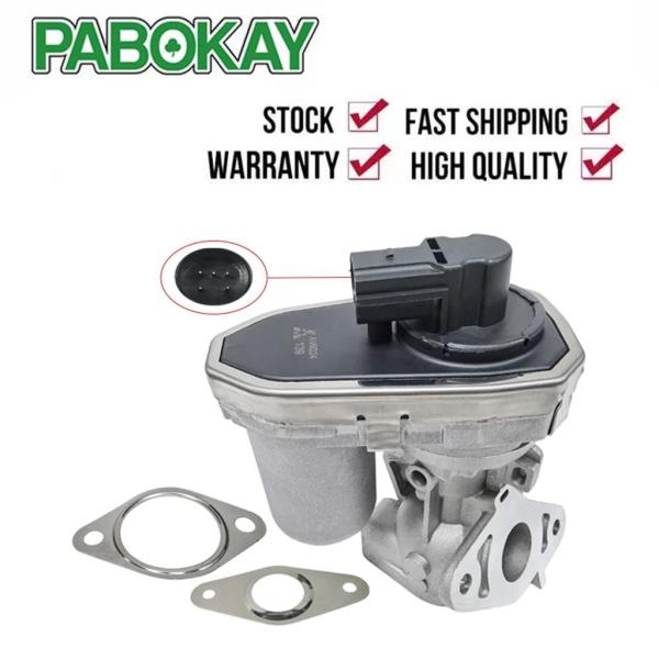 【並行輸入品】Citroenリレー用2.2hdi egr vavle Peugeotボクサー 8c1...