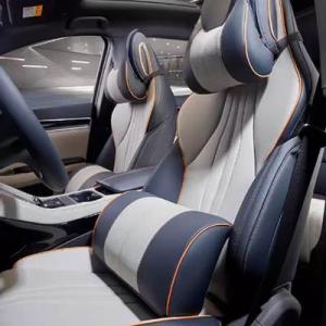 【並行輸入品】 Byd song plus dm-i ev seal uストレートカー用品 ウエスト...