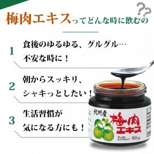 紀州産梅肉エキス 50g 4個 (濃縮エキス/...の詳細画像5